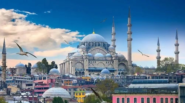 从海关数据看，土耳其进口中国最多的产品有哪些？